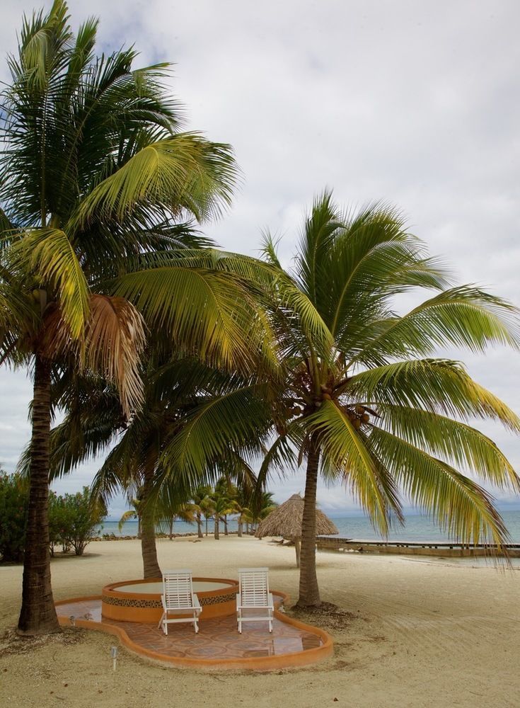 Royal Belize Hotel Thatch Caye ภายนอก รูปภาพ