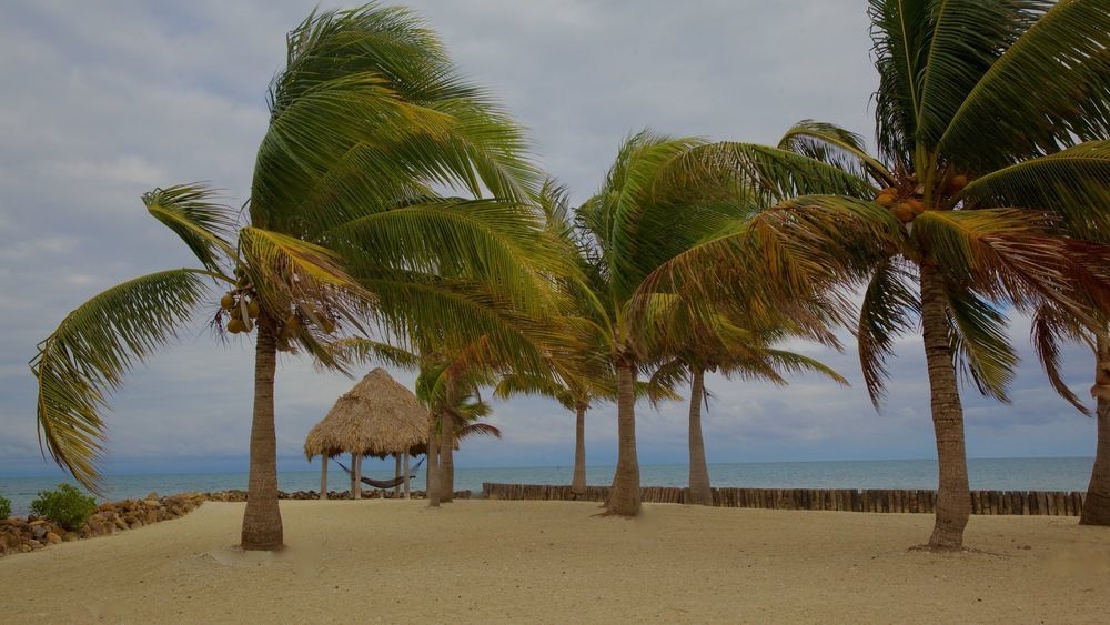 Royal Belize Hotel Thatch Caye ภายนอก รูปภาพ