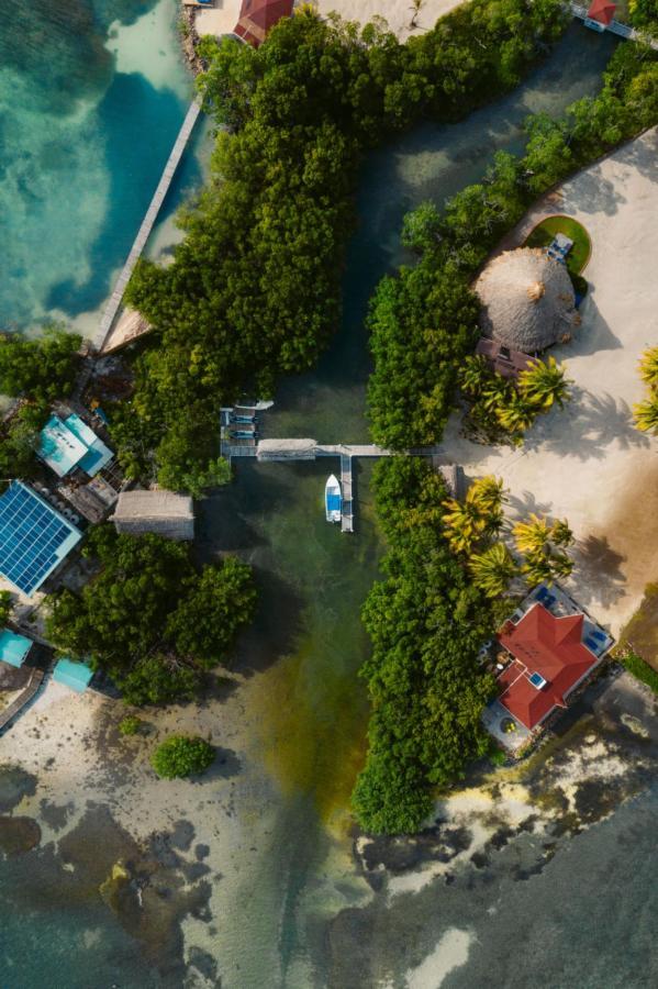 Royal Belize Hotel Thatch Caye ภายนอก รูปภาพ